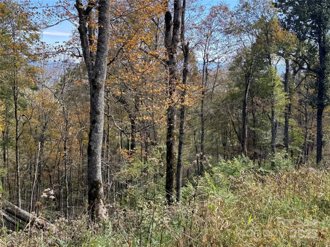 27 Trillium Lane