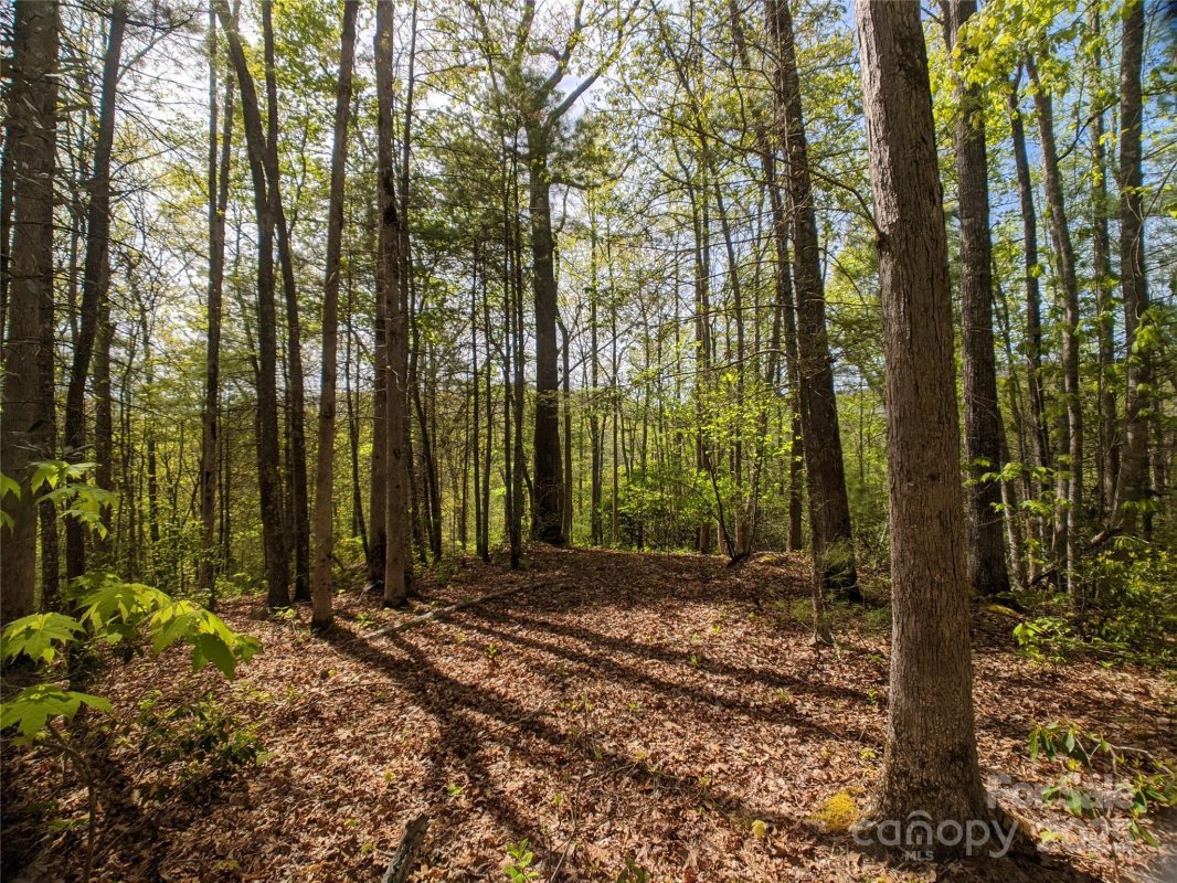 1156 Bear River Lodge Trail
