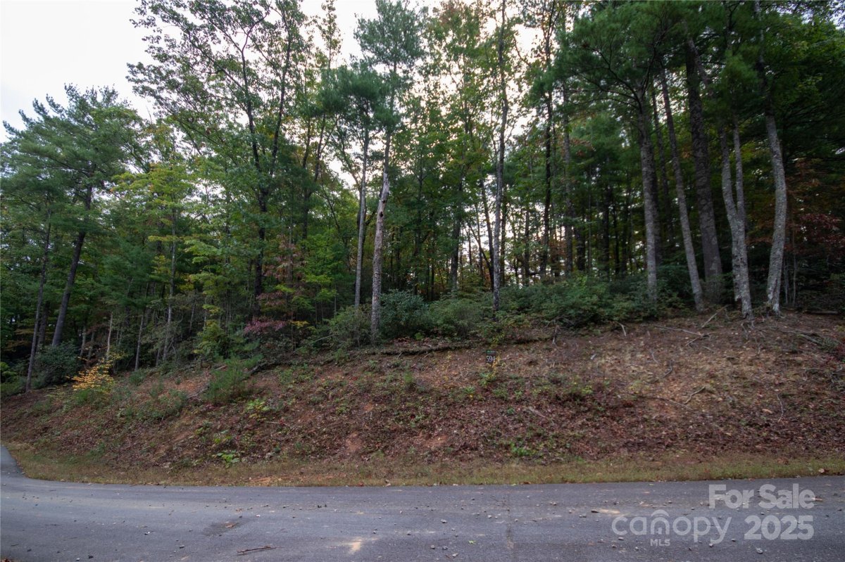 Lot 594 Timberline Drive