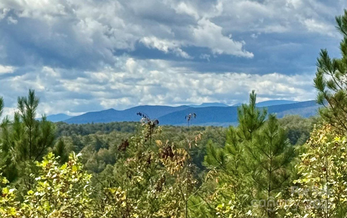1 17 Acres 4805 Low Valley Way