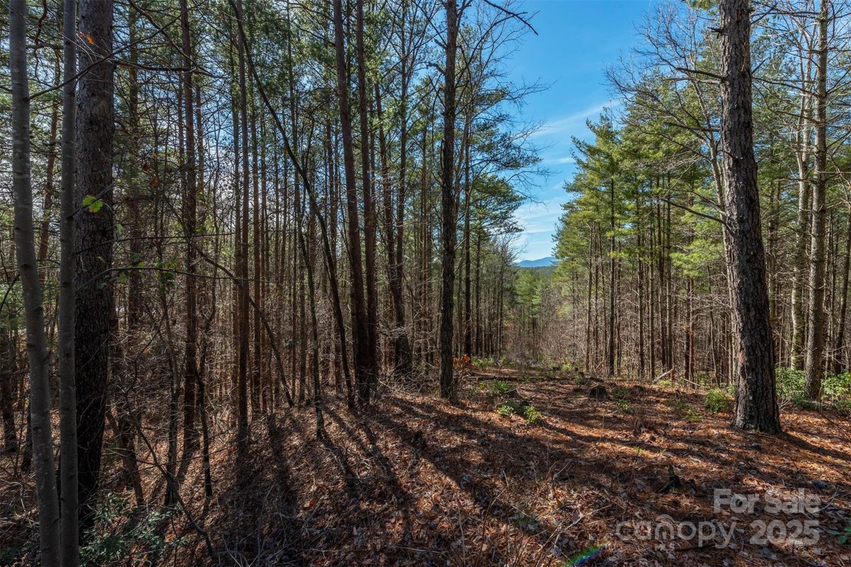 1683 Pisgah Preserve Drive
