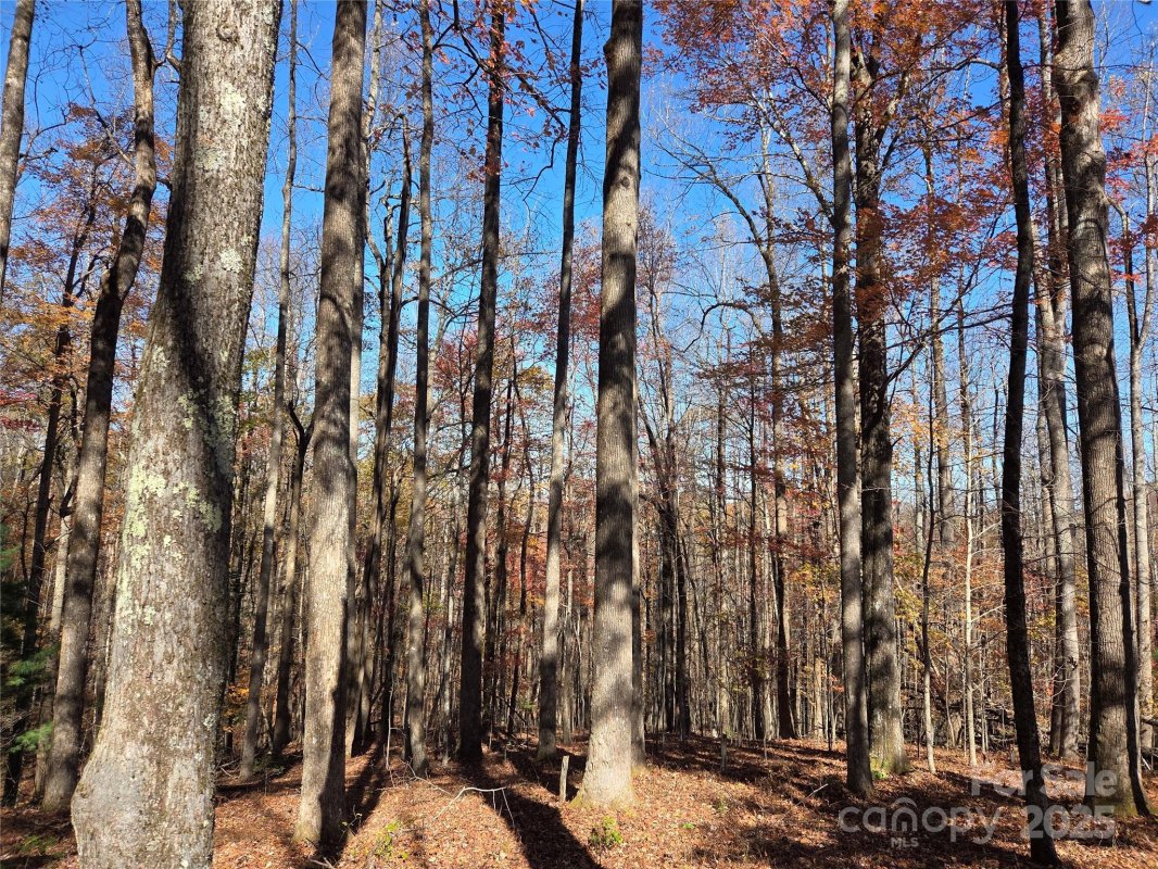 Lot 342 Severy Lane