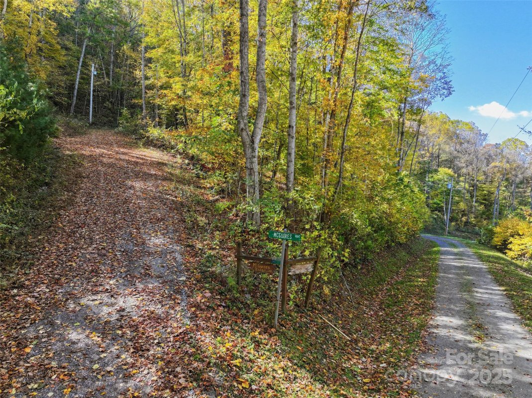 Lot 316 Mcguires Ridge