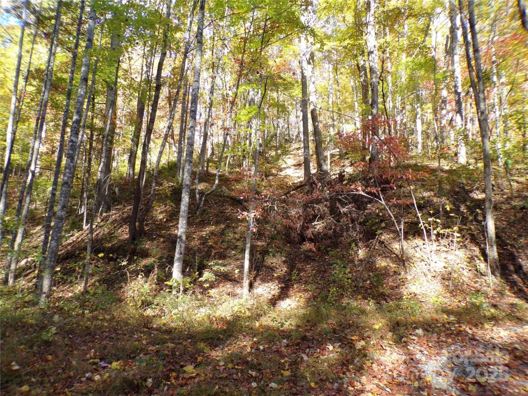 0 High Windy Drive Lot 388