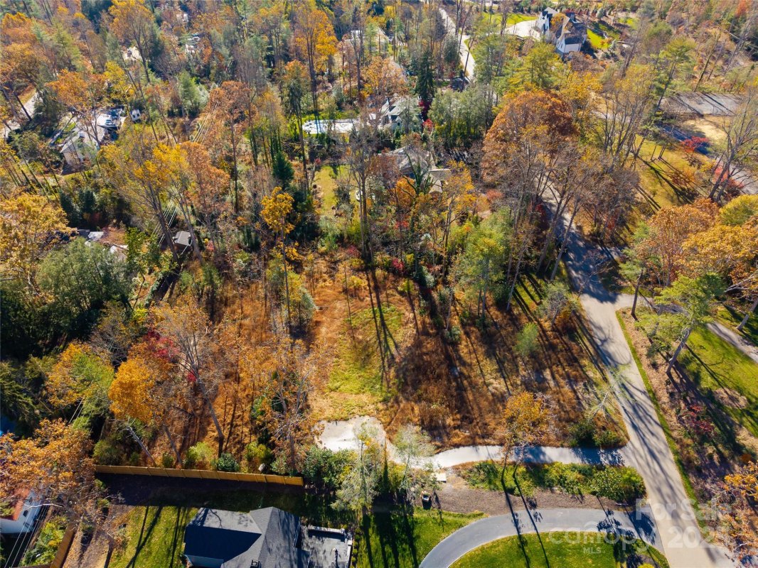50 Forest Road