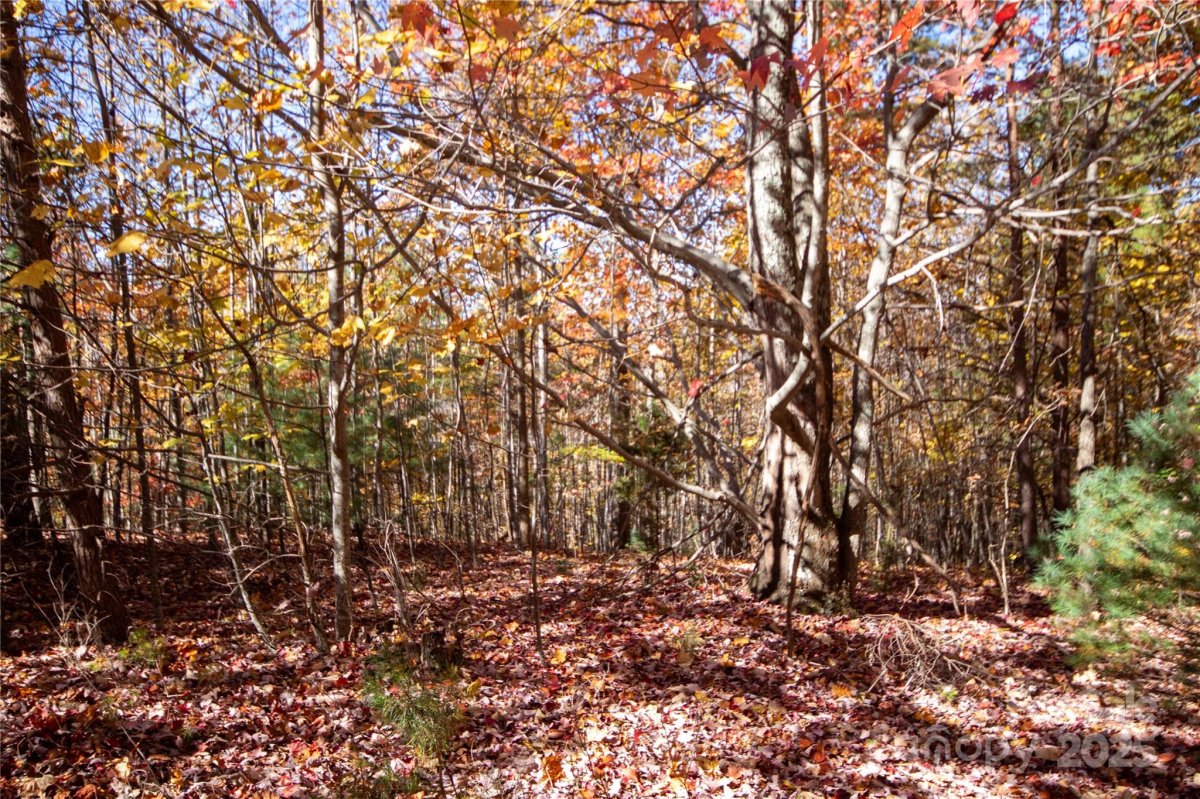 Lot 4 Peregrine Terrace