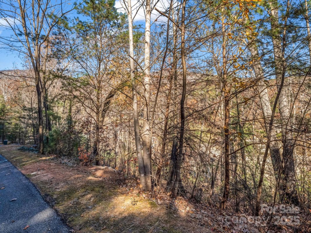 167 Firefly Point