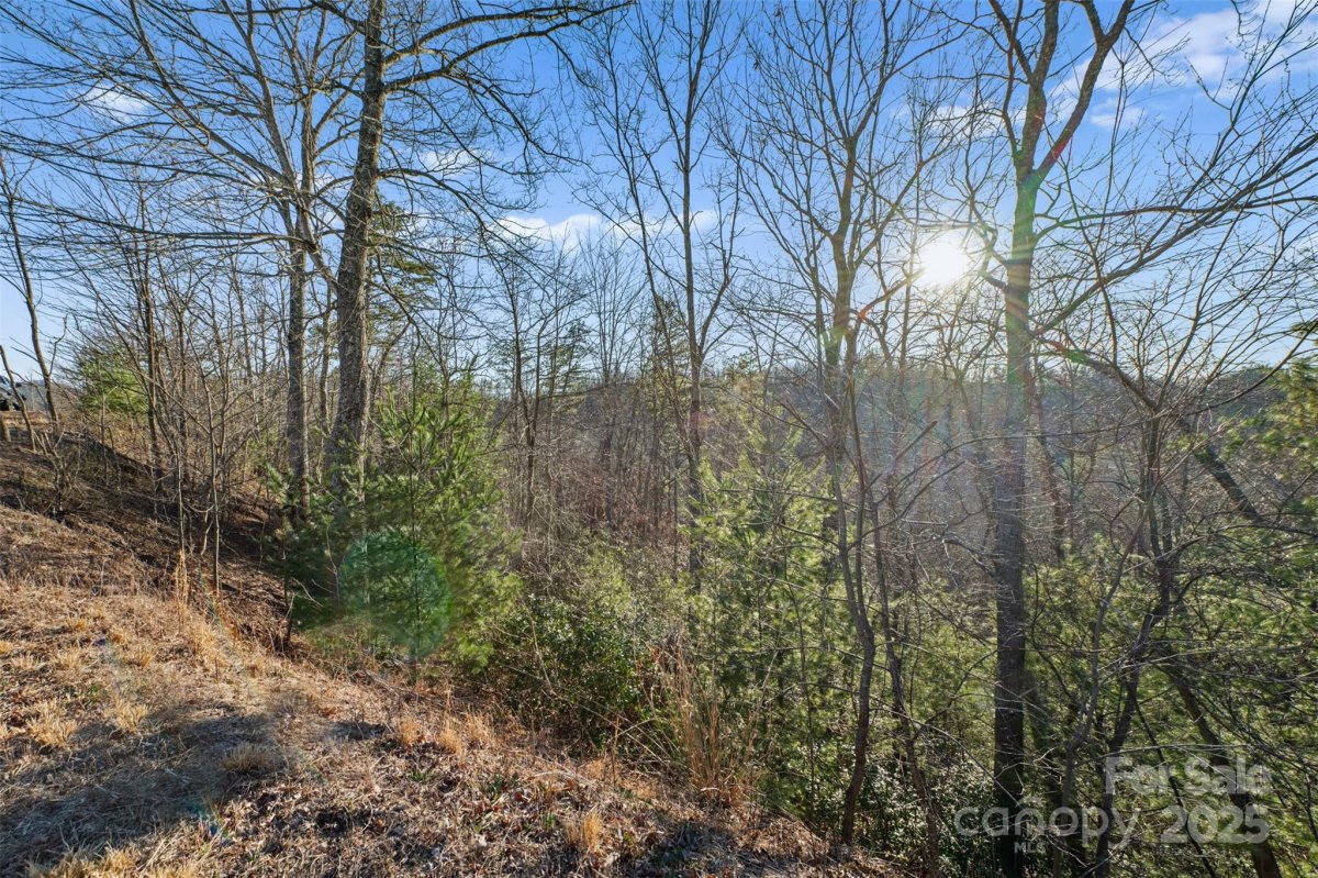 Lot 530 Roca Vista Drive