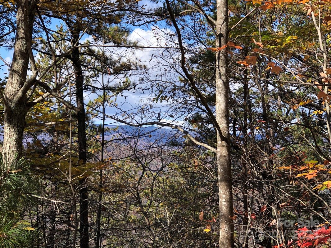 Tbd Buck Mountain Road