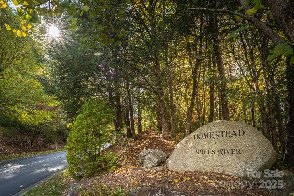 99999 Shining Rock Path