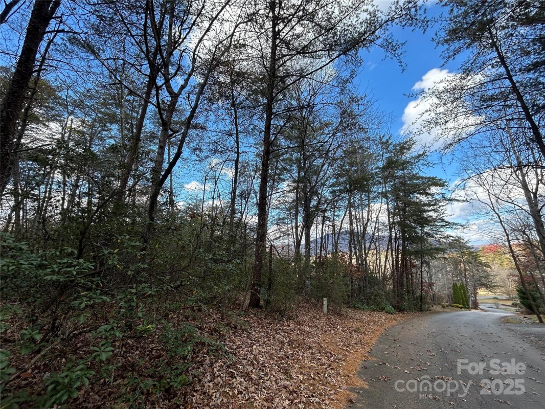 0 Raleigh Drive 2