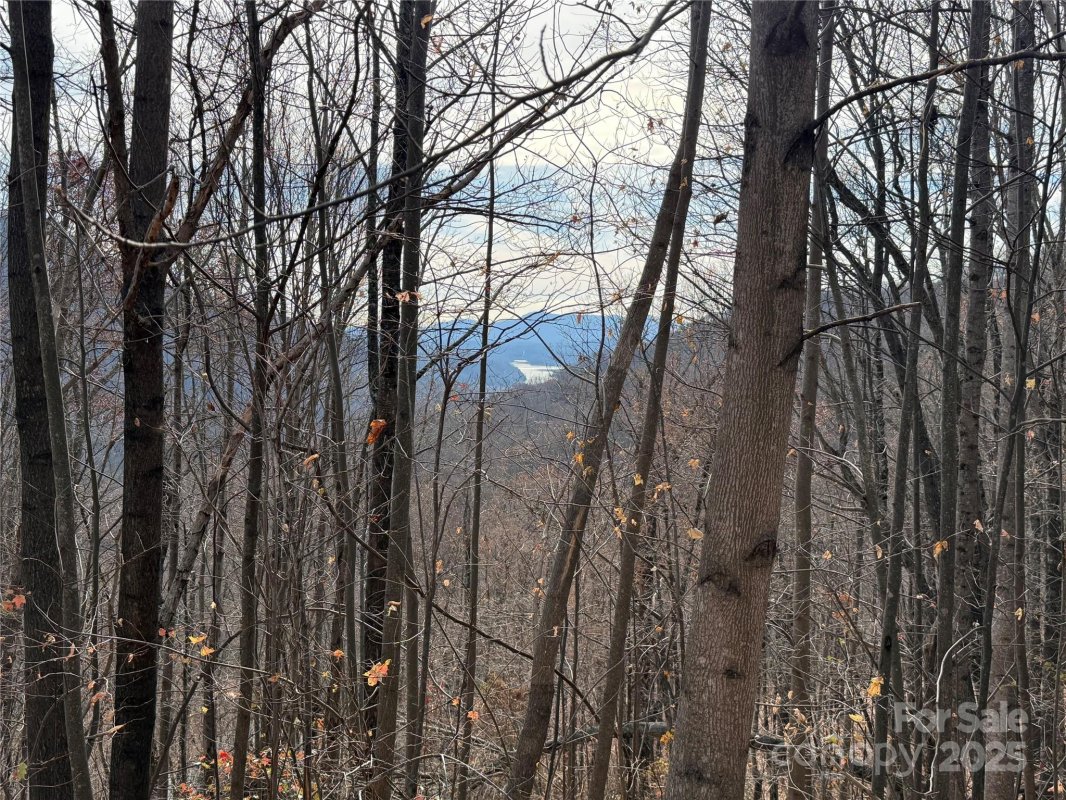Lot 375 Rolling Ridge Trail