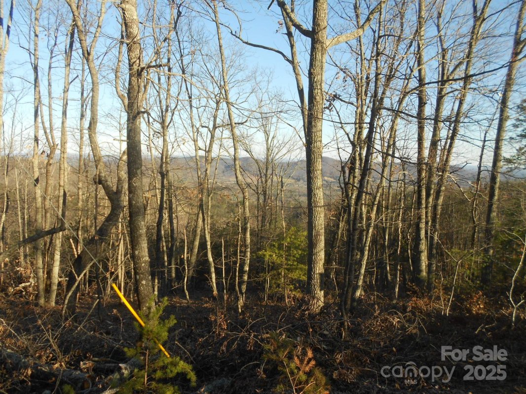 0000 Arbra Mountain Way