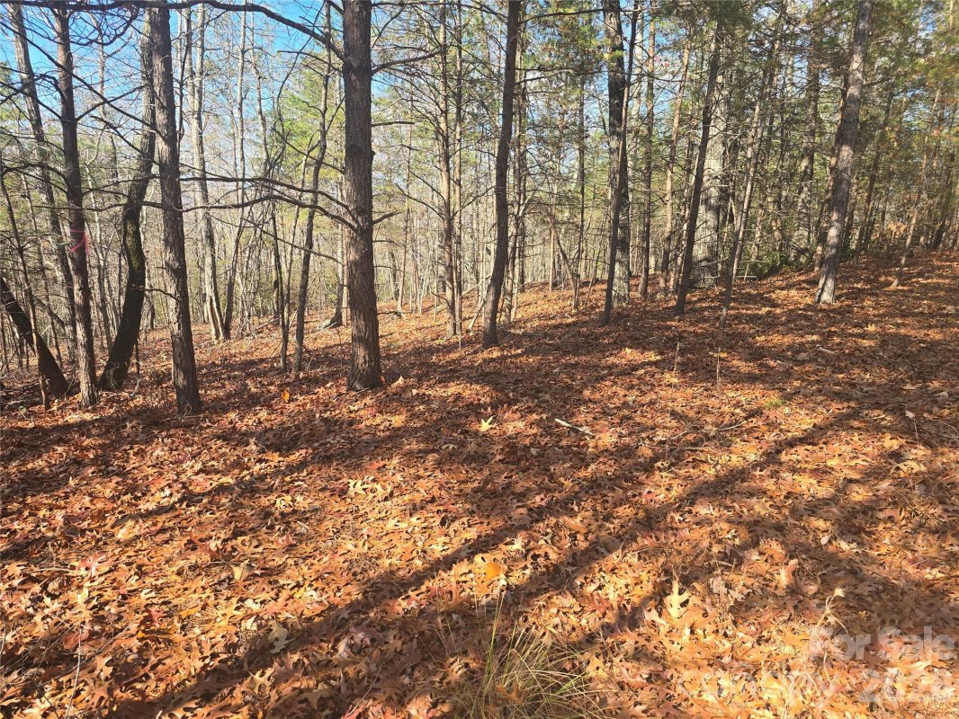 Lot 60 Lake Adger Parkway