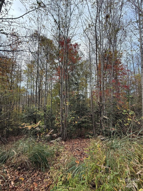 Lot 7 West Legacy Drive