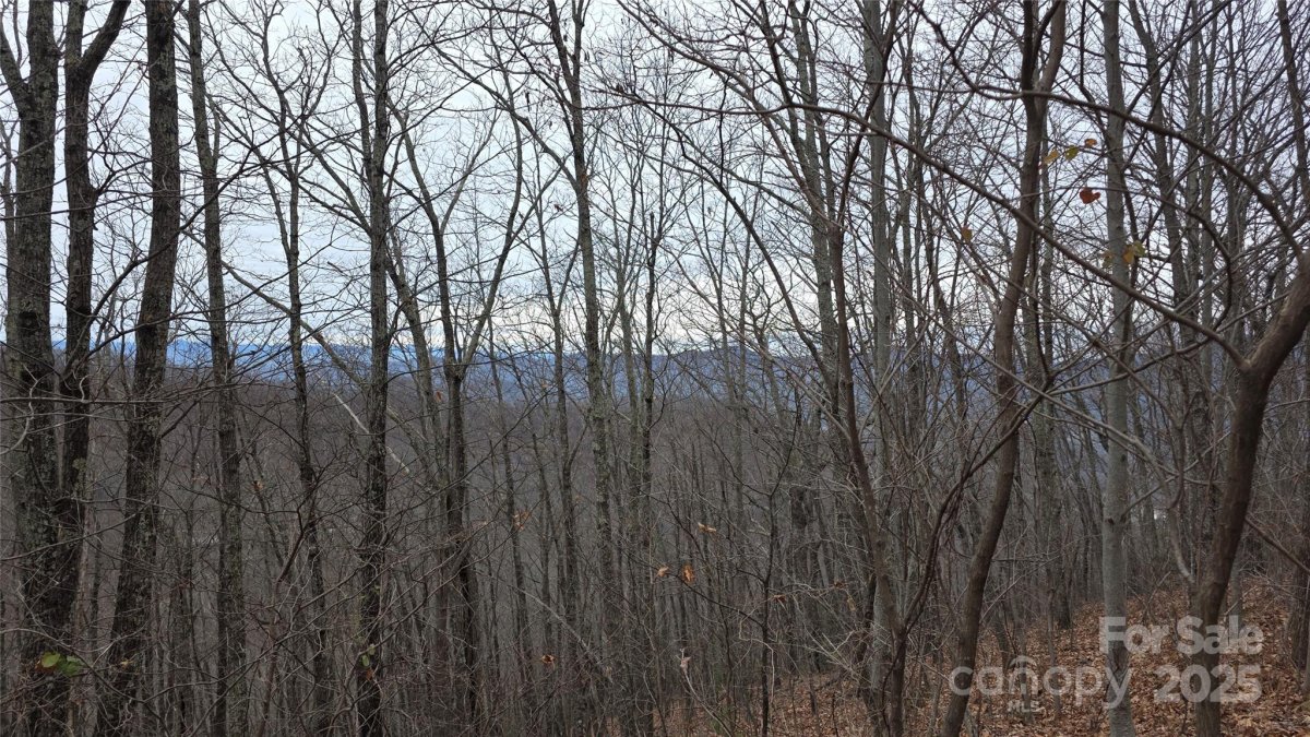 402 High Hickory Trail 51