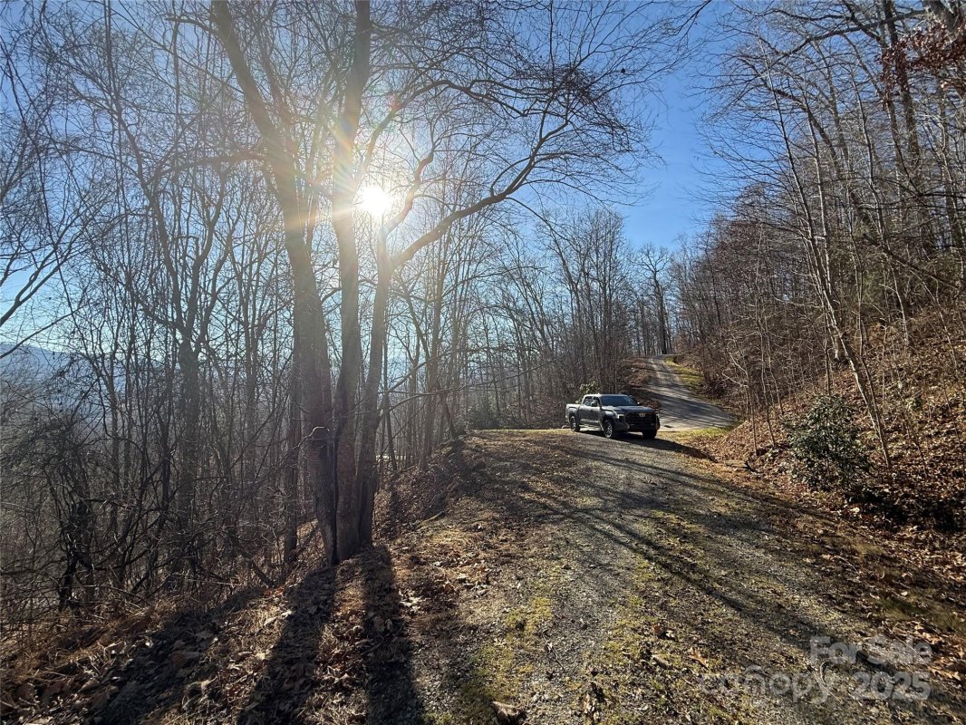 Lot 28 Bernies Trail