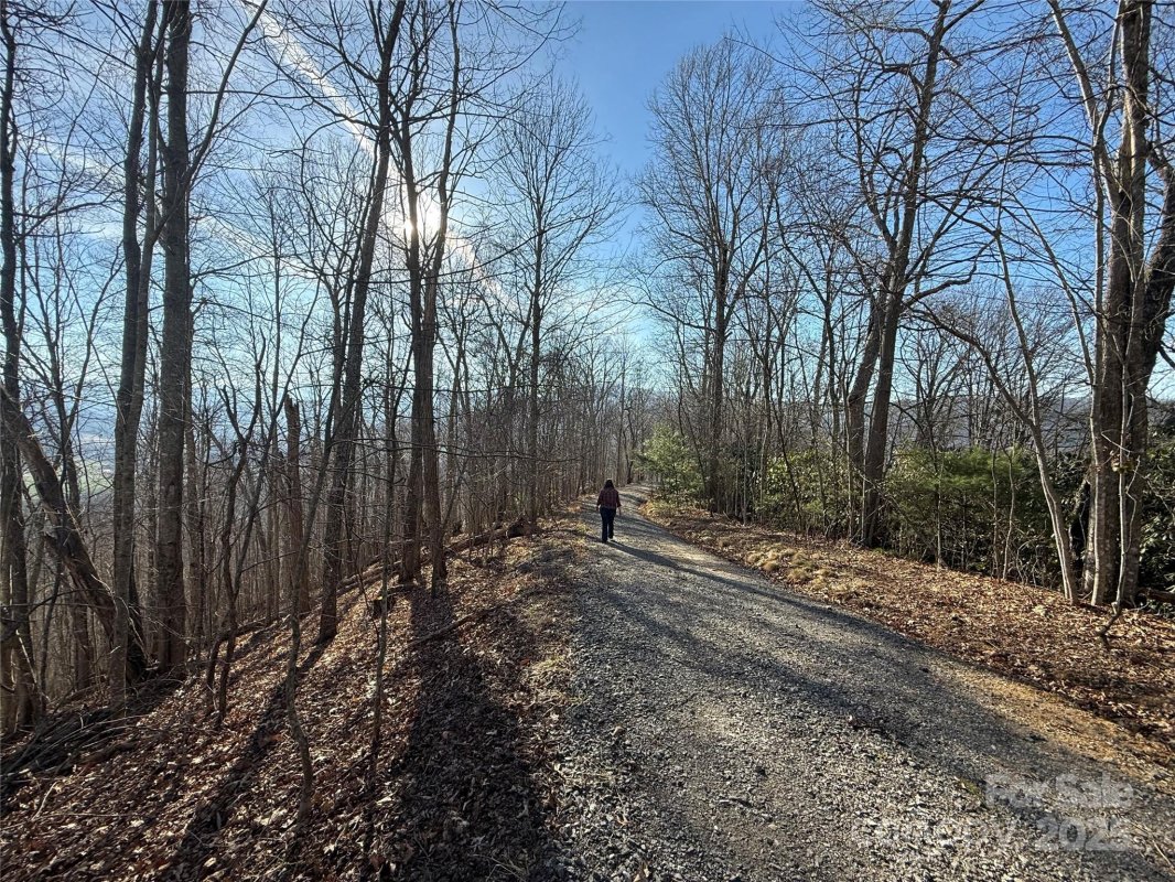Lot 21 Brer Rabbit Trail