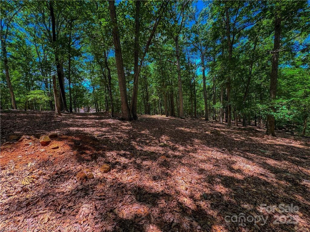 1560 Rocky Cove Lane
