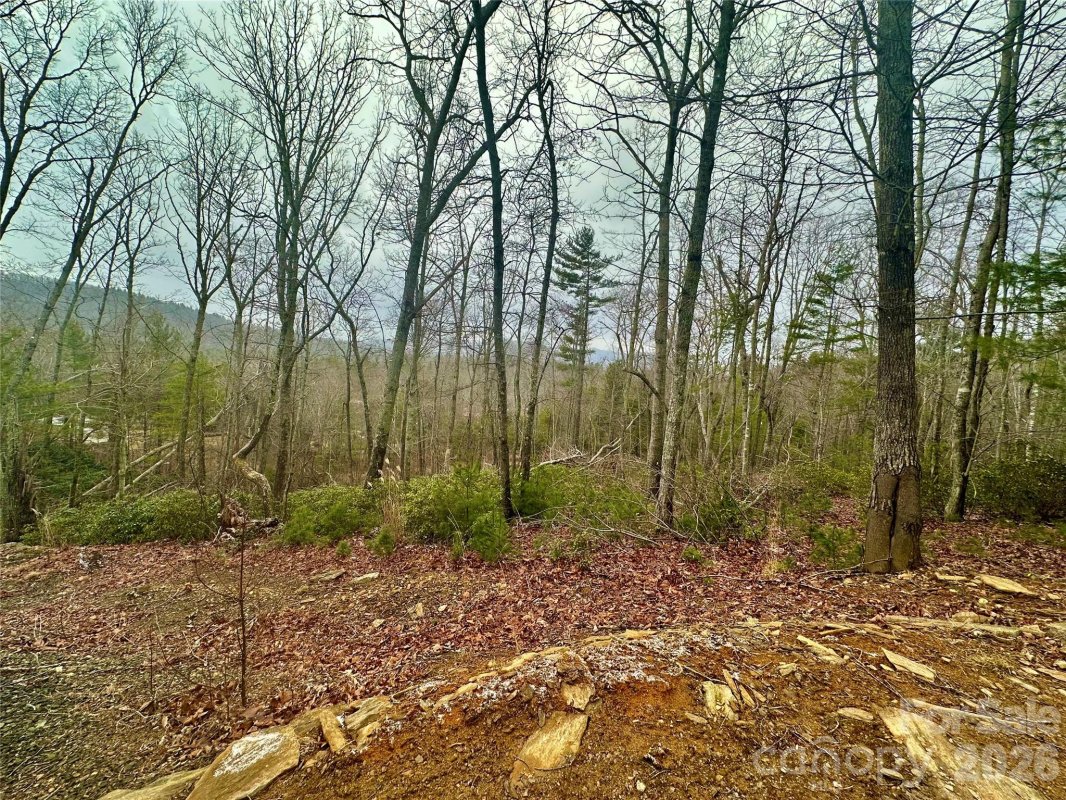 000 Orchard View Trail 11