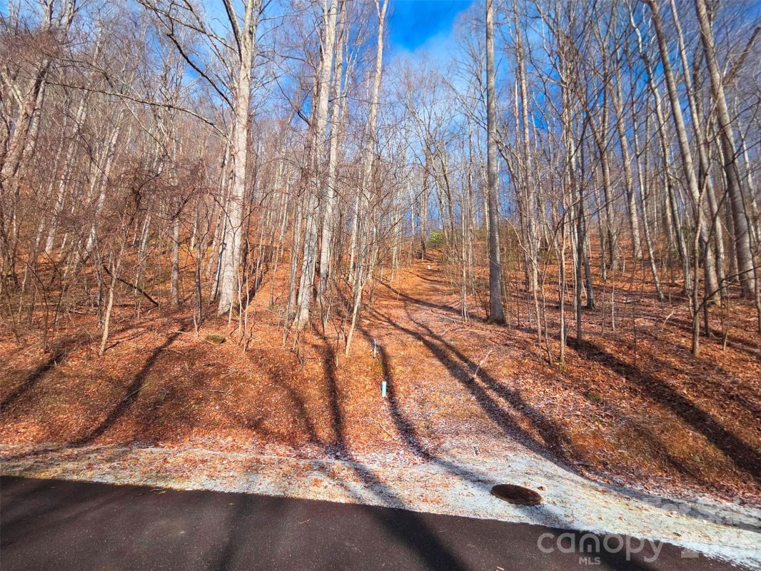 455 Mountain Watch Drive