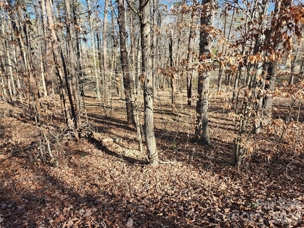 0000 Forest Ridge Road
