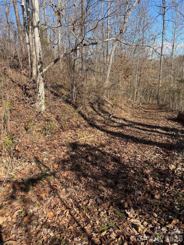 000 E Rambling Creek Road 11