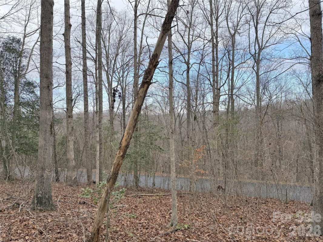 0000 E Rambling Creek Drive 26