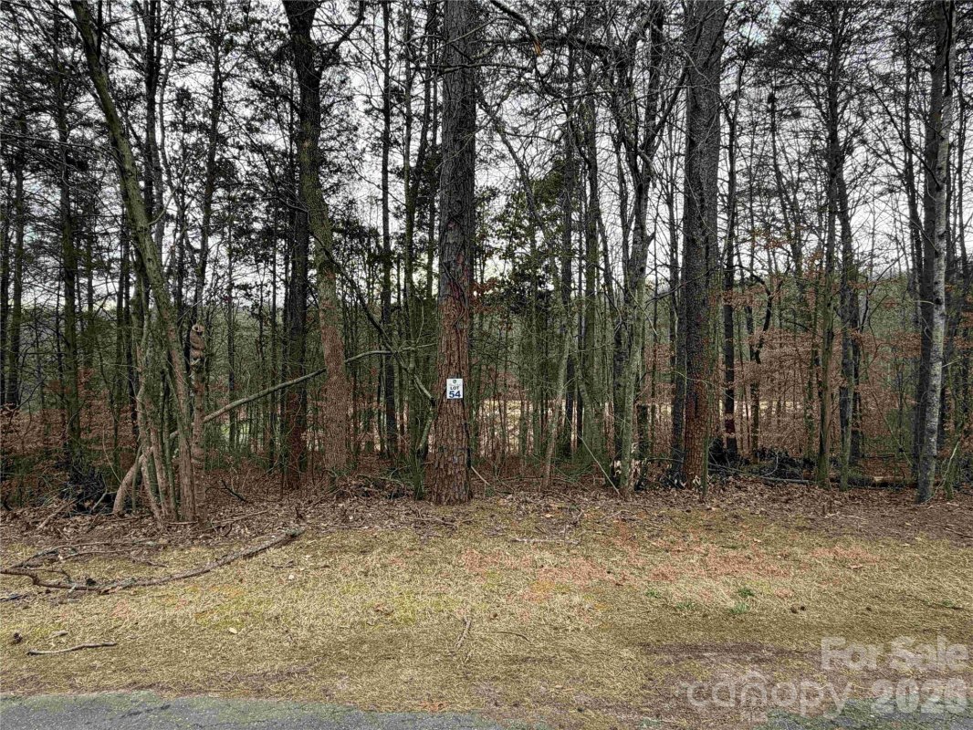 352 Broken Arrow Drive