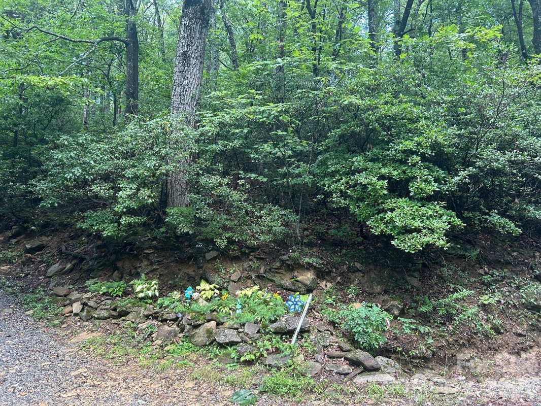 0 Pine Ridge Road