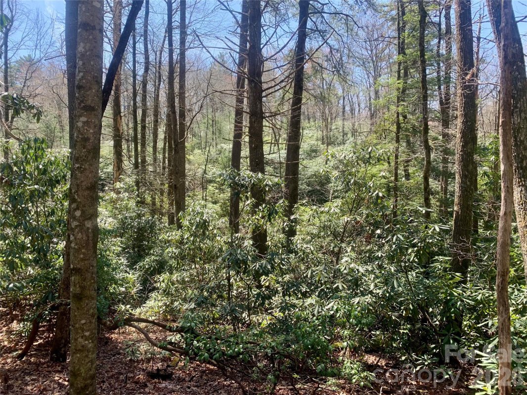 Lot 20a Indian Lake Road 20A
