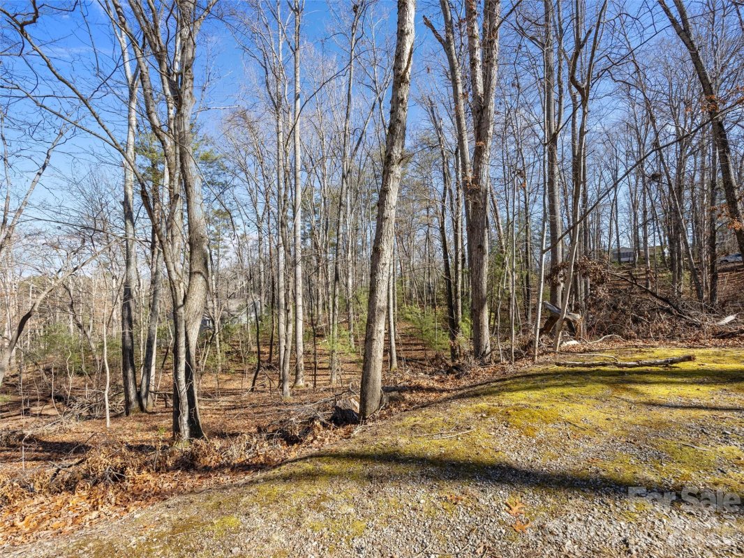 Lot 7 Mountain Heritage Place
