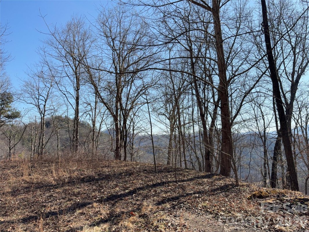 00 Brush Creek Road