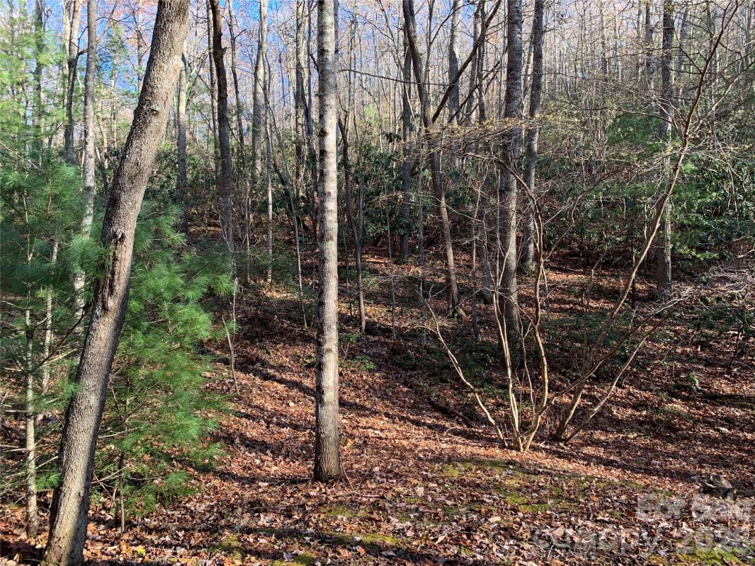 Tbd Lot 1 Dugger Firetower Road