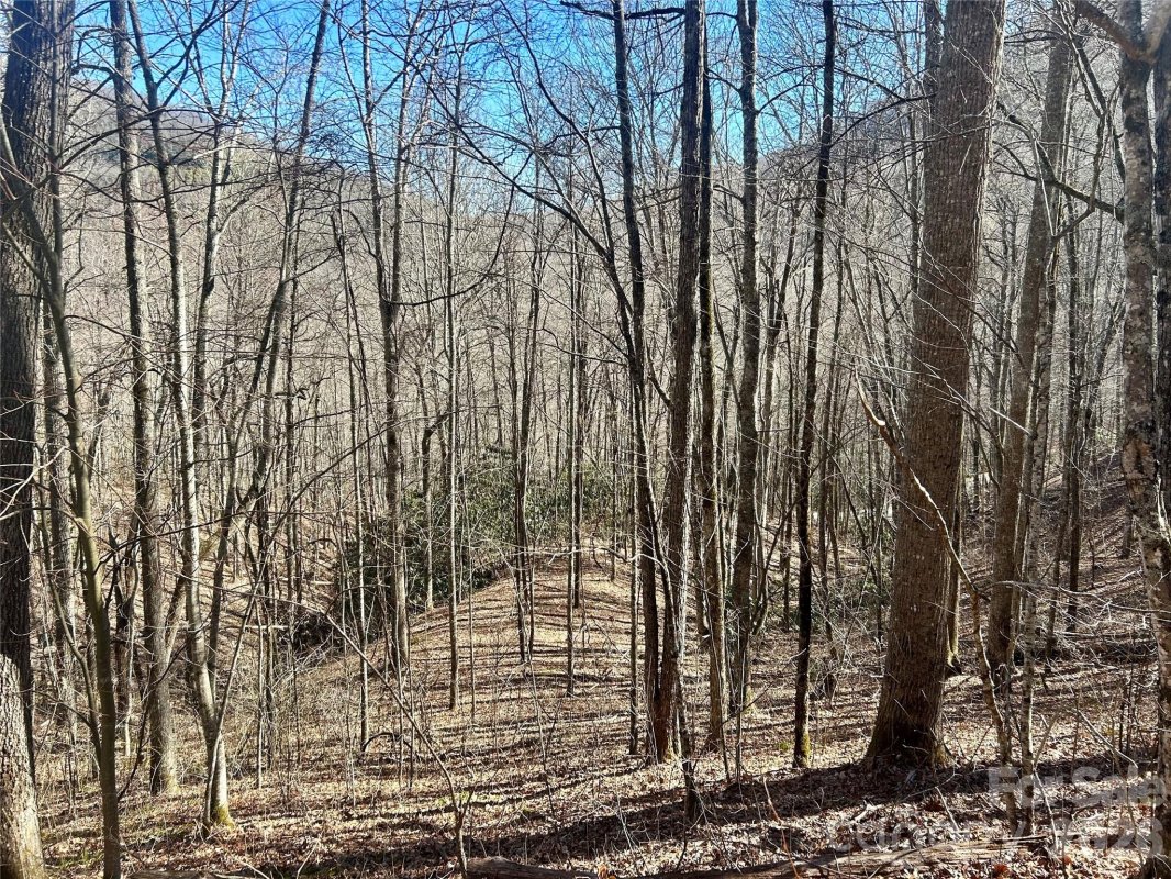 0 Deep Gap View 51&52&53