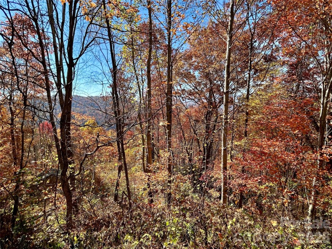 0 Grizzly Ridge 57