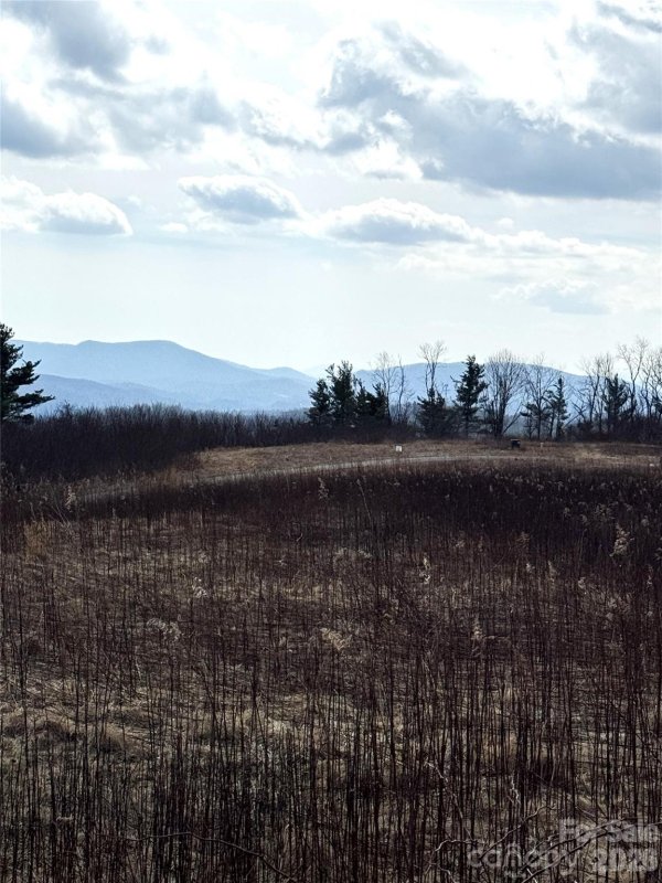 Tbd Lot 52 Crestwood Circle