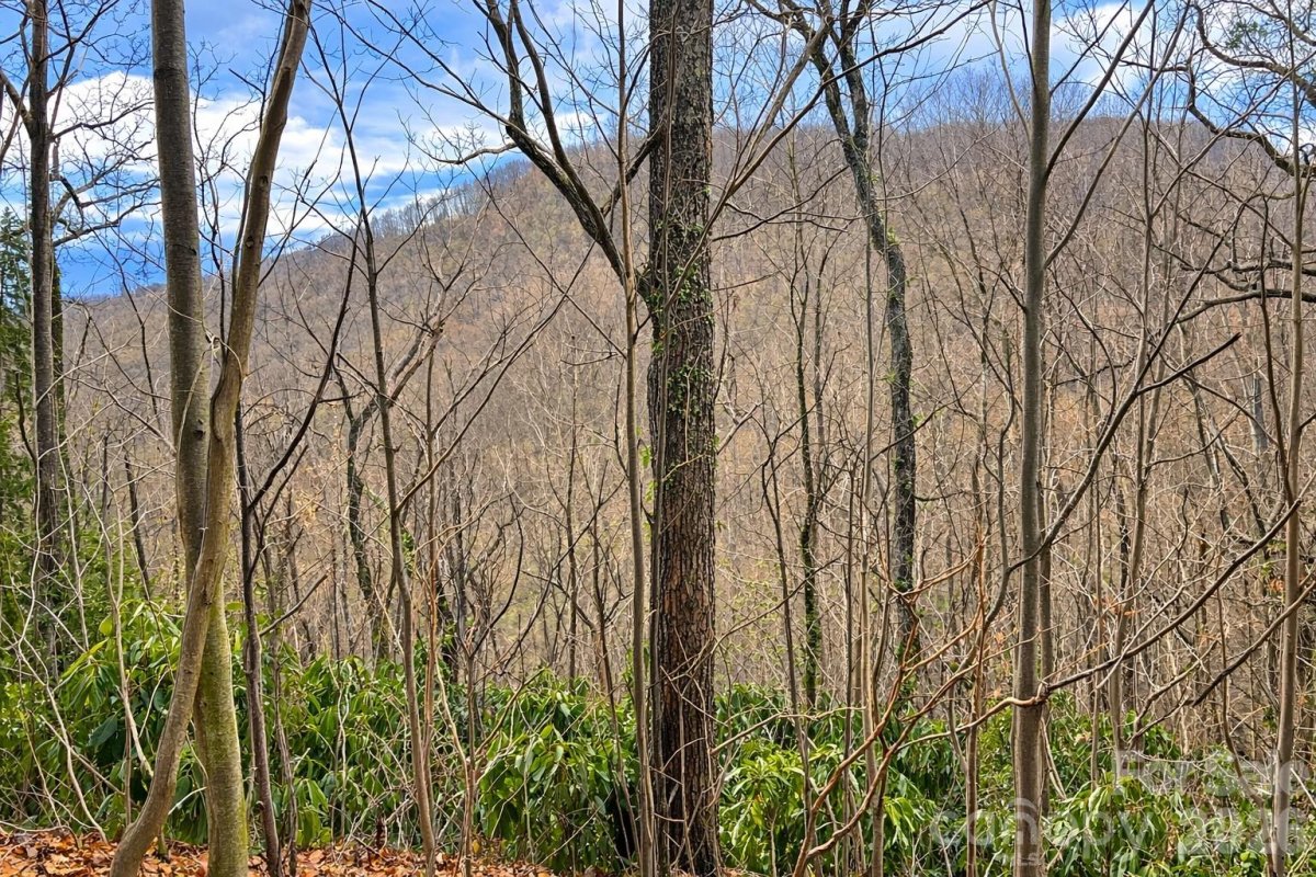 11 Majestic Overlook Way