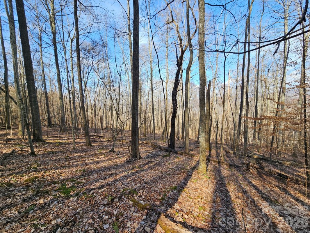 00 Red Wolf Run Road
