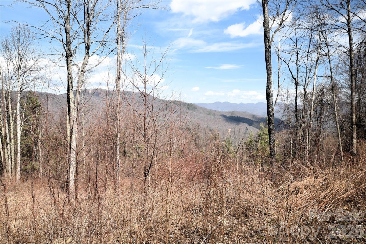 000 Curry Comb Trail 513