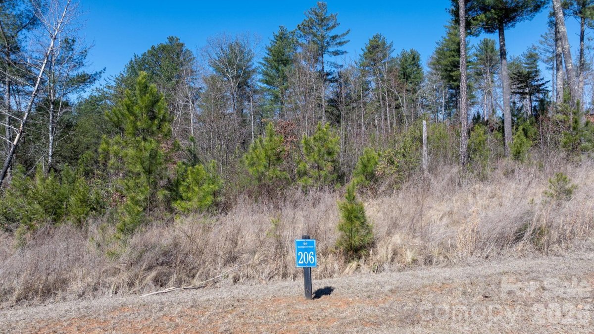 0 Scenic Lane