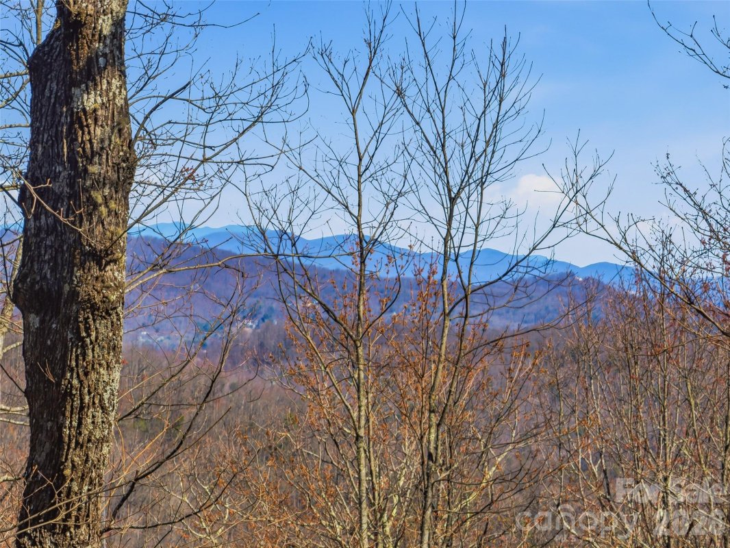 Tbd Panther Mountain Road