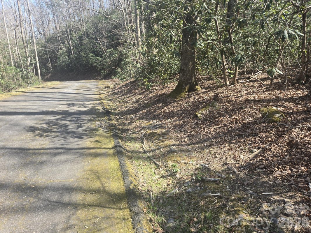 Lot 97 Mockingbird Lane