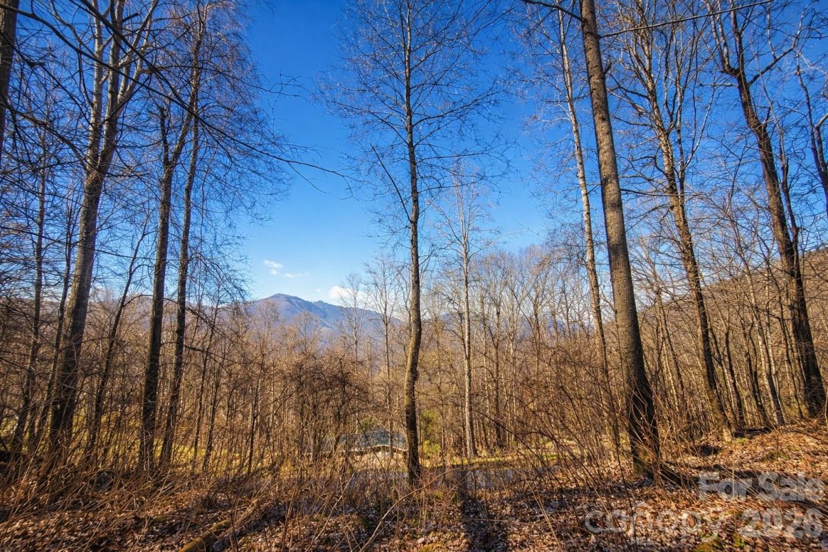 4 Buckeye Road
