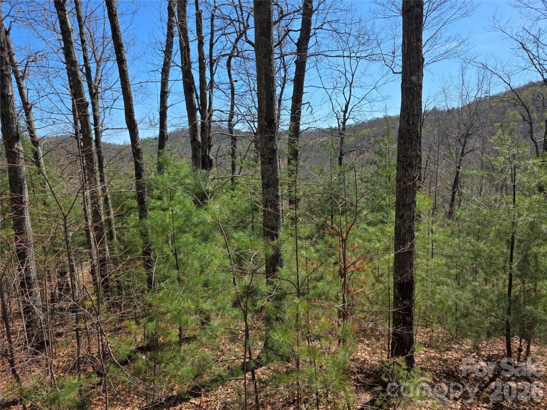 Lot 21 Big Raven Lane