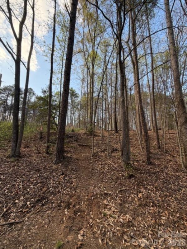 447 Hopewell Church Road