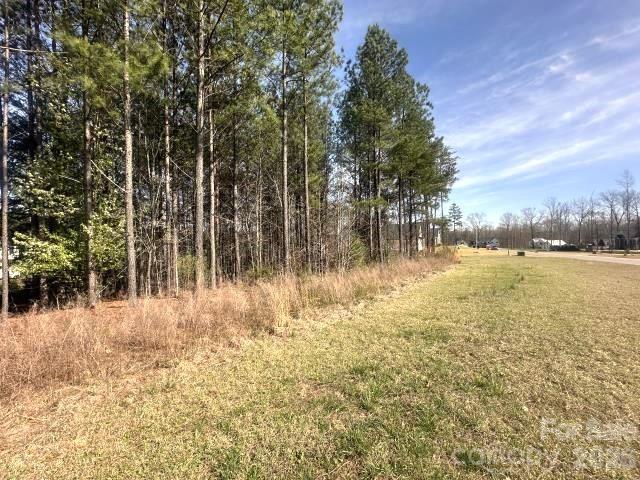 315 Grassy Ridge Court