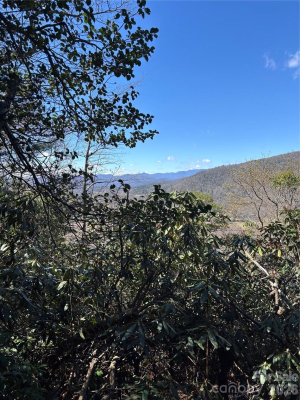 Tbd Top Of The Mountain Road