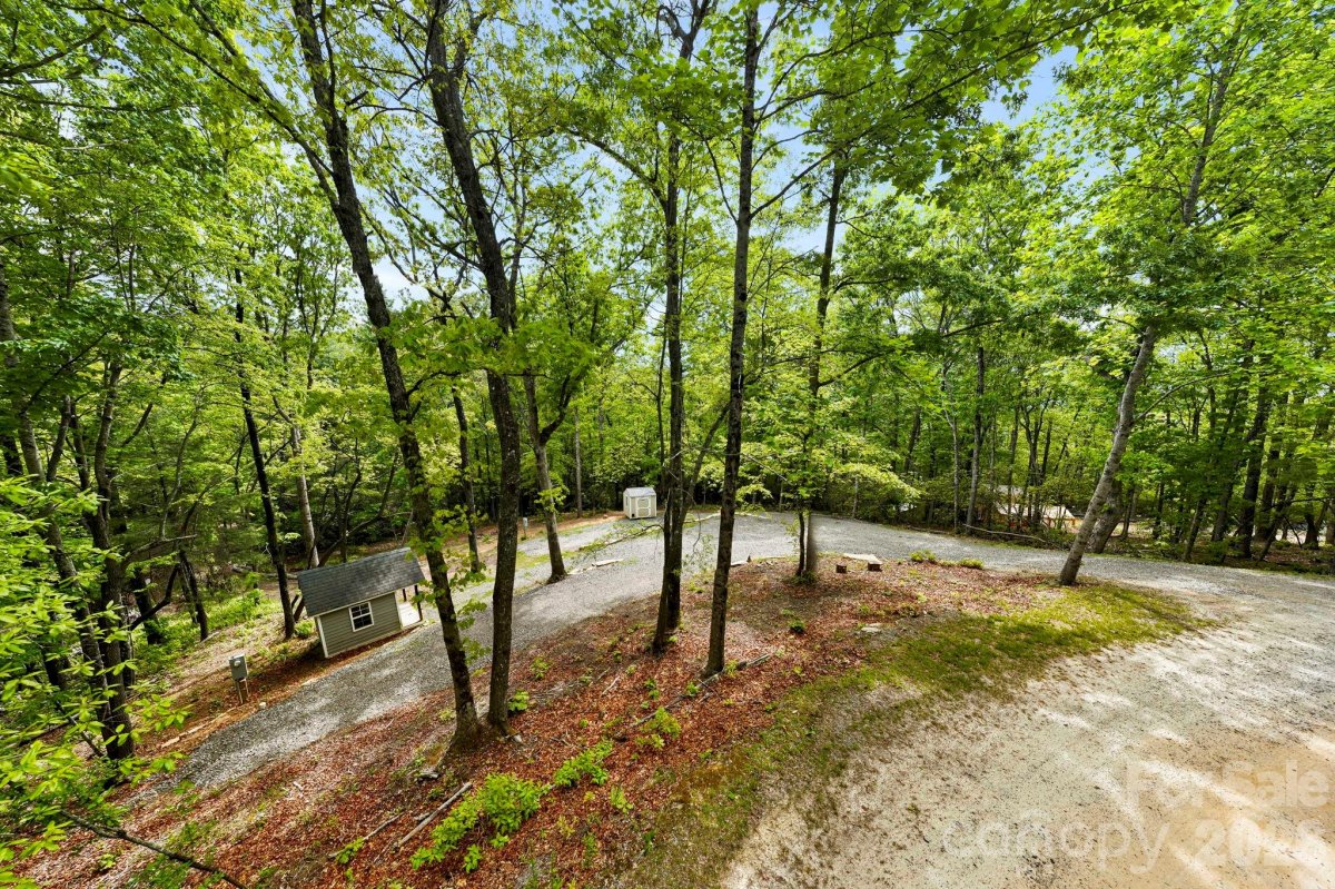 137 Bird Song Road