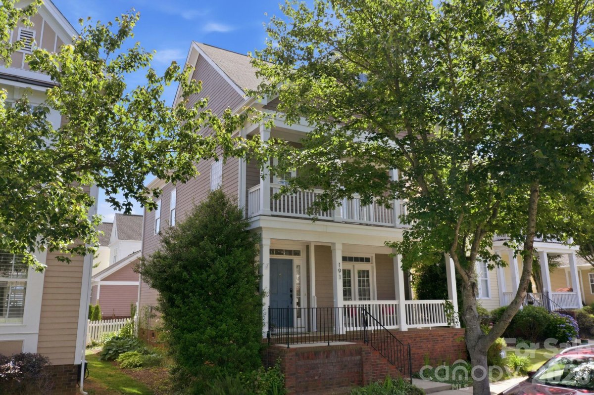 191 Lilac Mist Loop